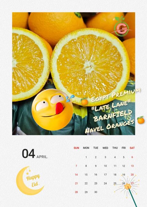 10d5c450-5509-4ebc-ad05-553501d5654a