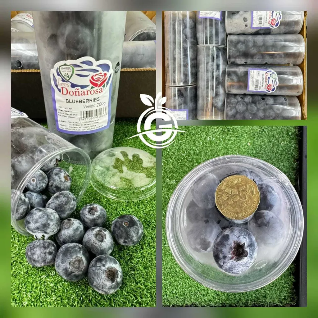 47528026-1c26-484d-aac5-5d603a83ec01