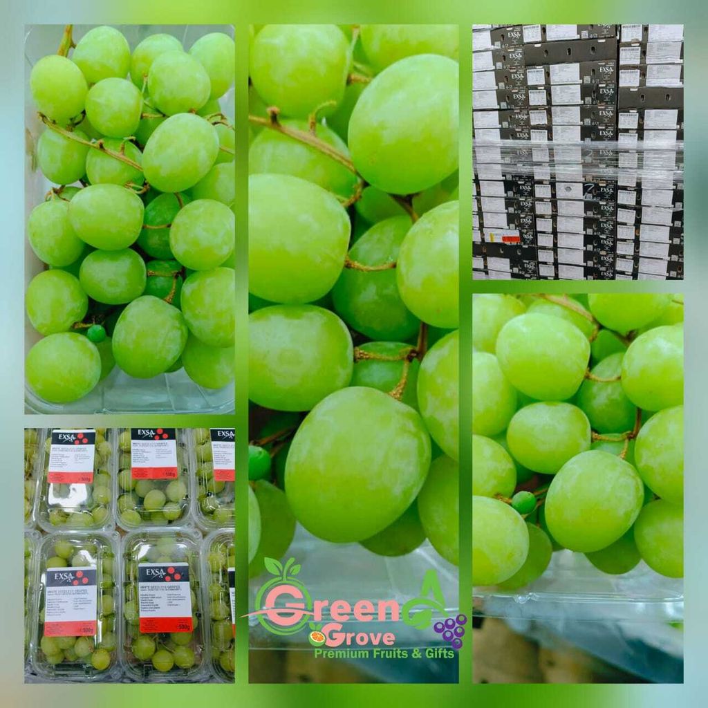 e08c29f9-6e29-465b-a3b5-f995a8a935ac