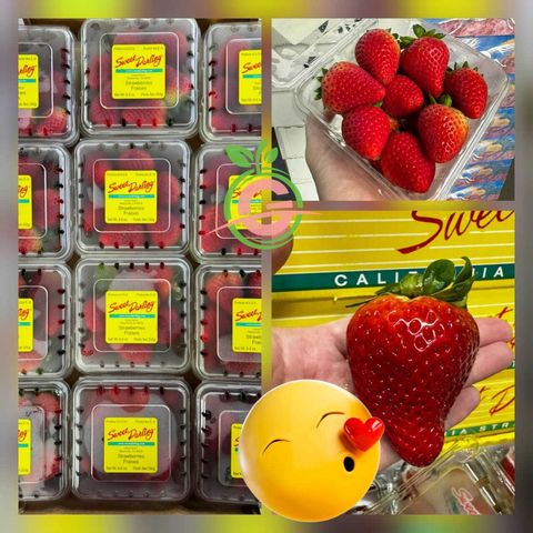 Air-Flown USA Premium Fresh Big Strawberries