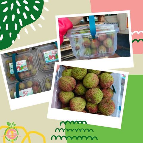 JPEG_20240524_082204_2801453969941605631