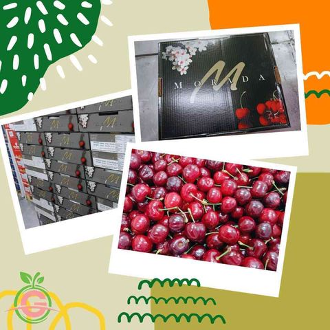 JPEG_20240524_082542_3469551748032209502