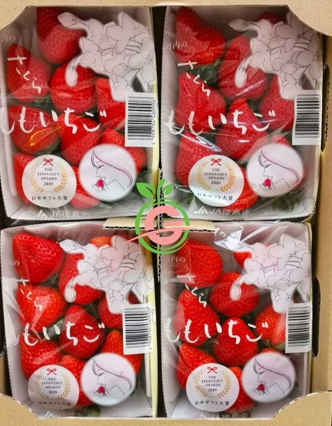 Japanese Tokushima Sakuramomo Ichigo (Strawberries) (Size 2L)