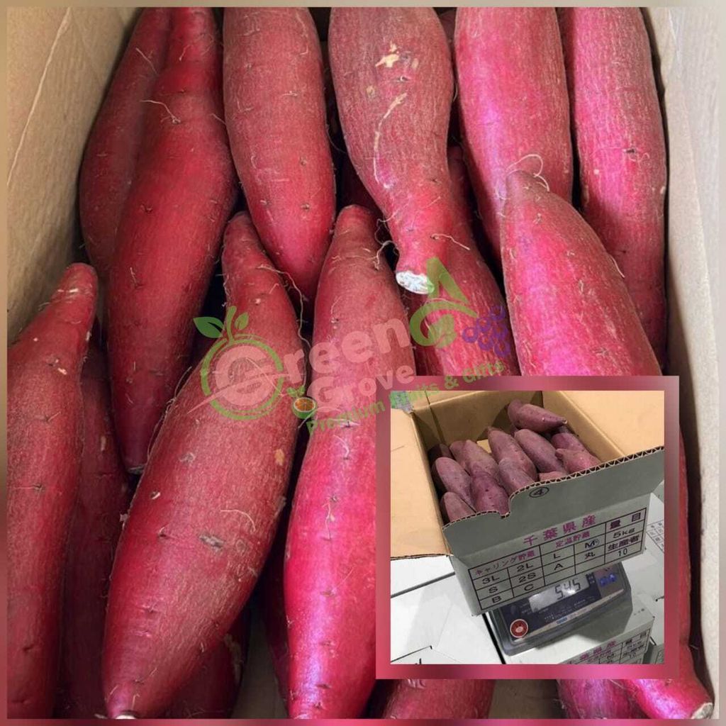Japan Premium Chiba Sweet Potatoes (Size M)
