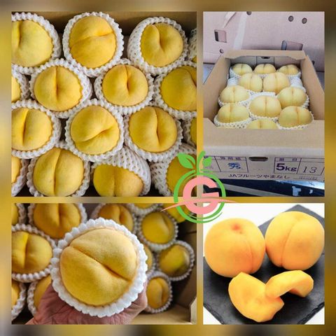 Japanese Yamanashi Golden Yellow Peaches