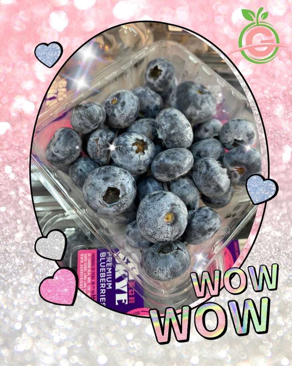 Peru Premium Blueberries (Size Jumbo)