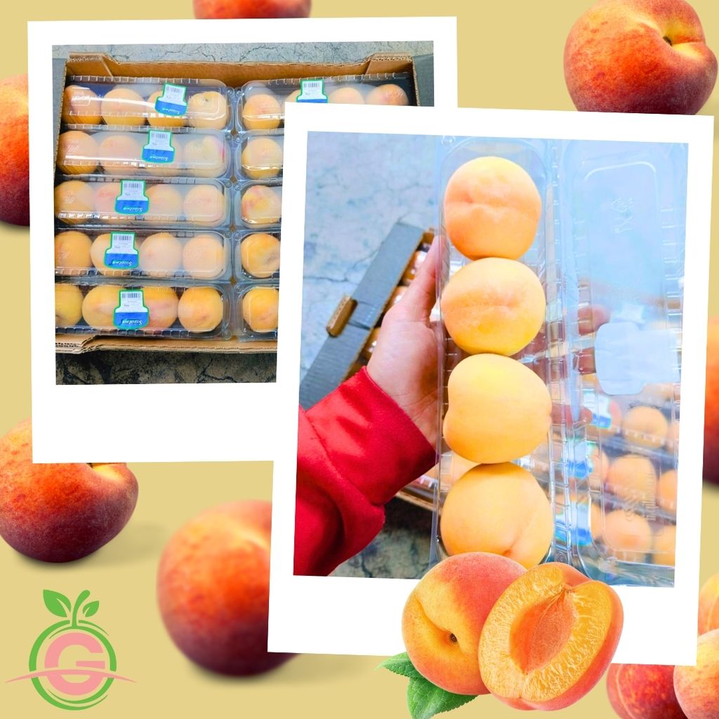 Spain Sopalmo Yellow Peach