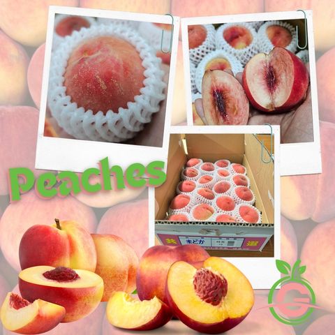 Japan Fukushima Peach