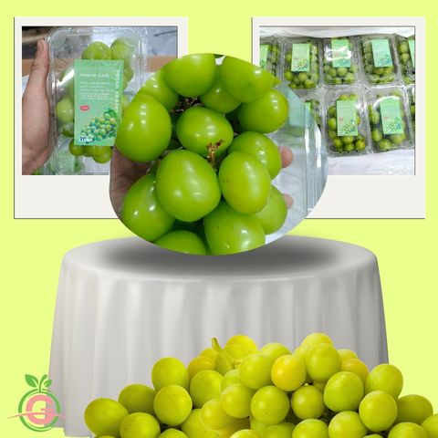 Premium Green Seedless Grapes (Sweet Globe®)