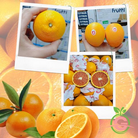 South Africa Premium Cara Cara Navel Oranges