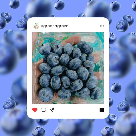 Peru Driscoll Fresh Premium Blueberries