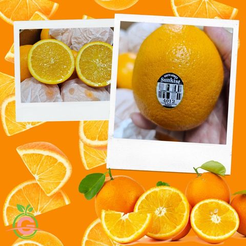 South Africa Fresh Premium Navel Oranges