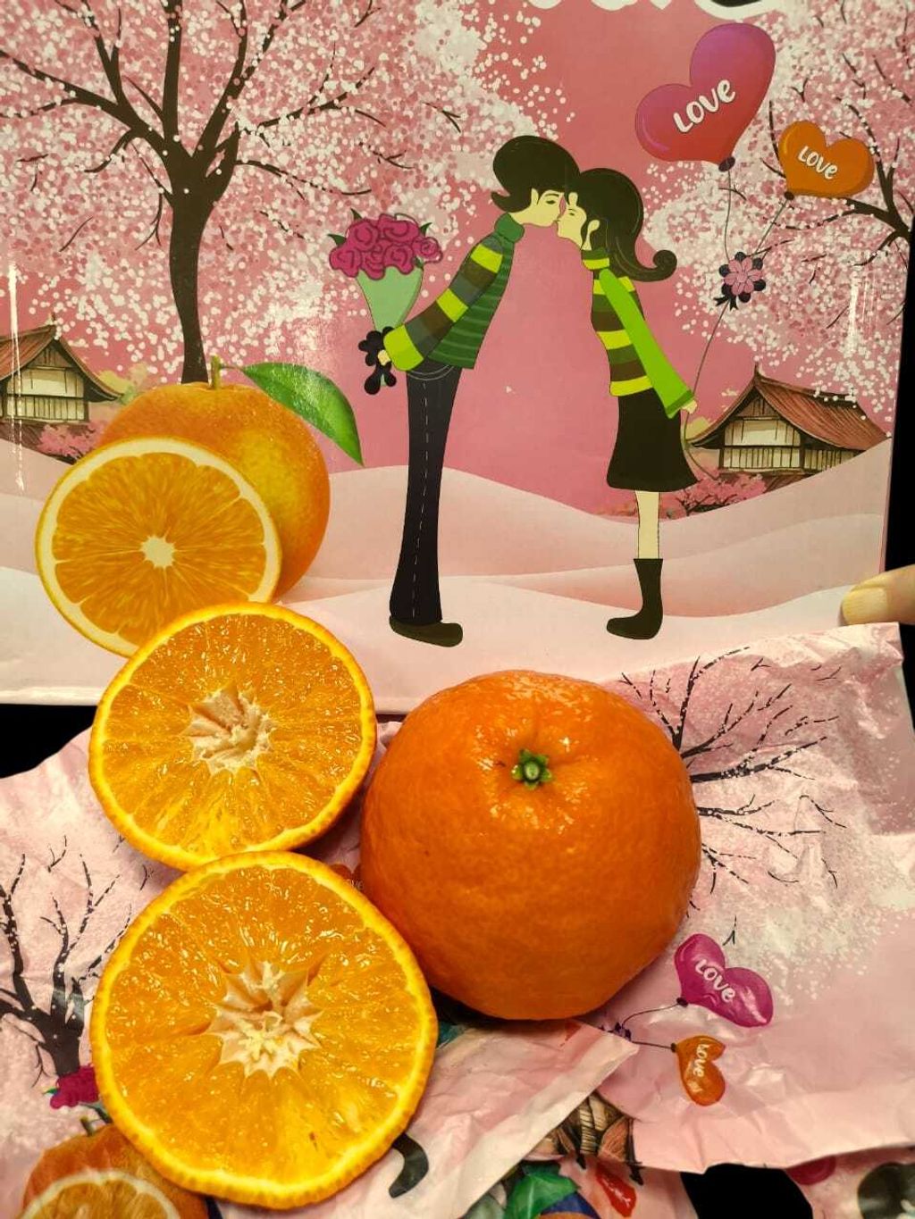 WhatsApp Image 2025-01-14 at 23.01.27 (1)