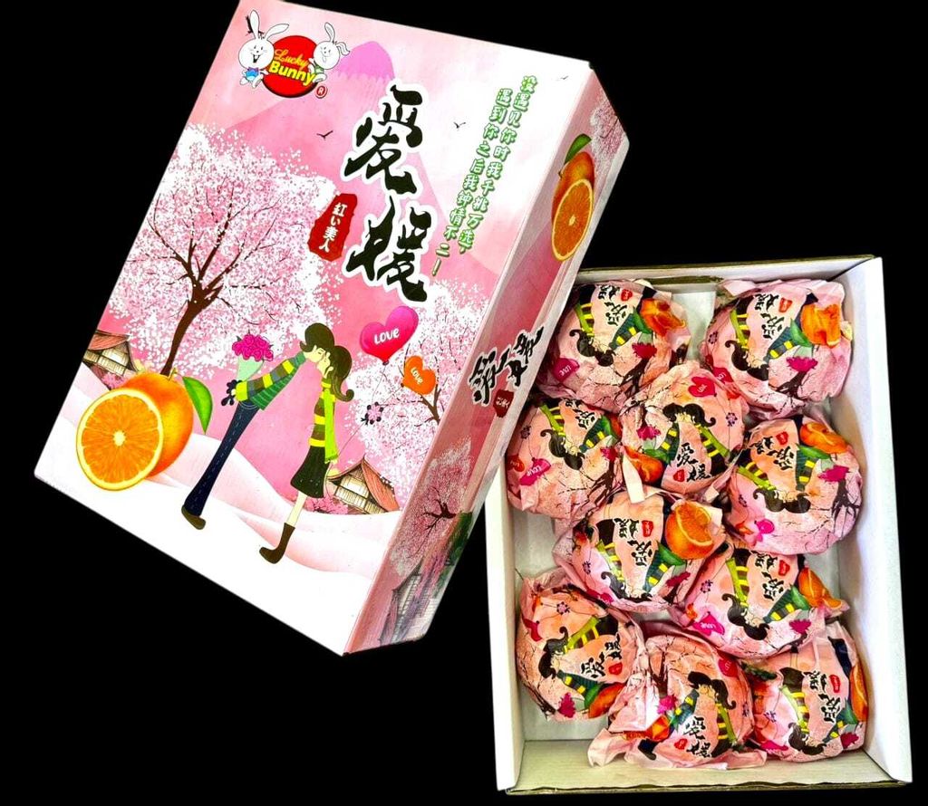 WhatsApp Image 2025-01-14 at 23.01.27