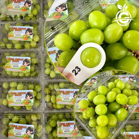 WhatsApp Image 2025-06-12 at 19.35.02