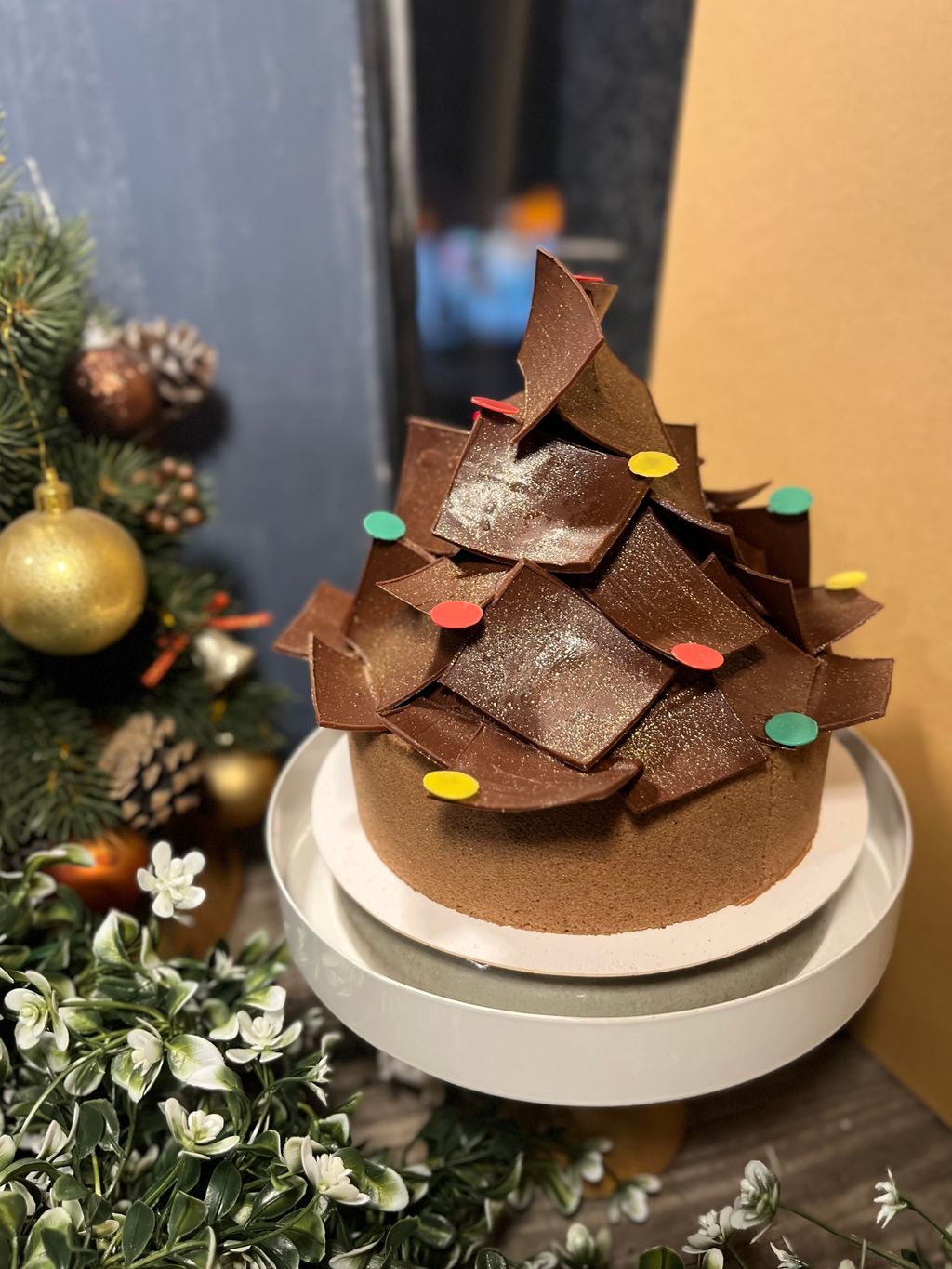 image_7CE939B7-ADBC-4B13-B6BF-7E47B8736B0E_1765363938