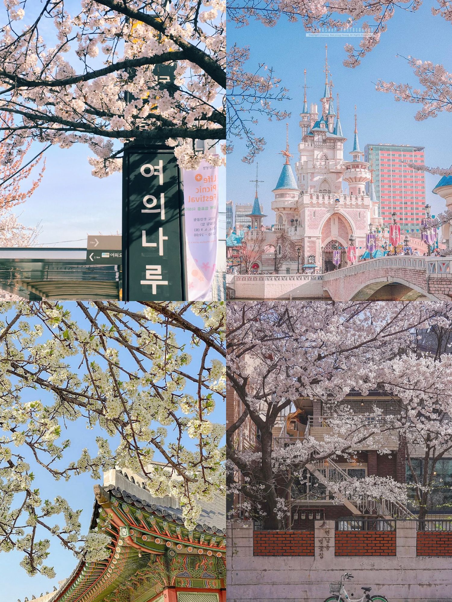 CHANCE CO | Korea Spring Season
