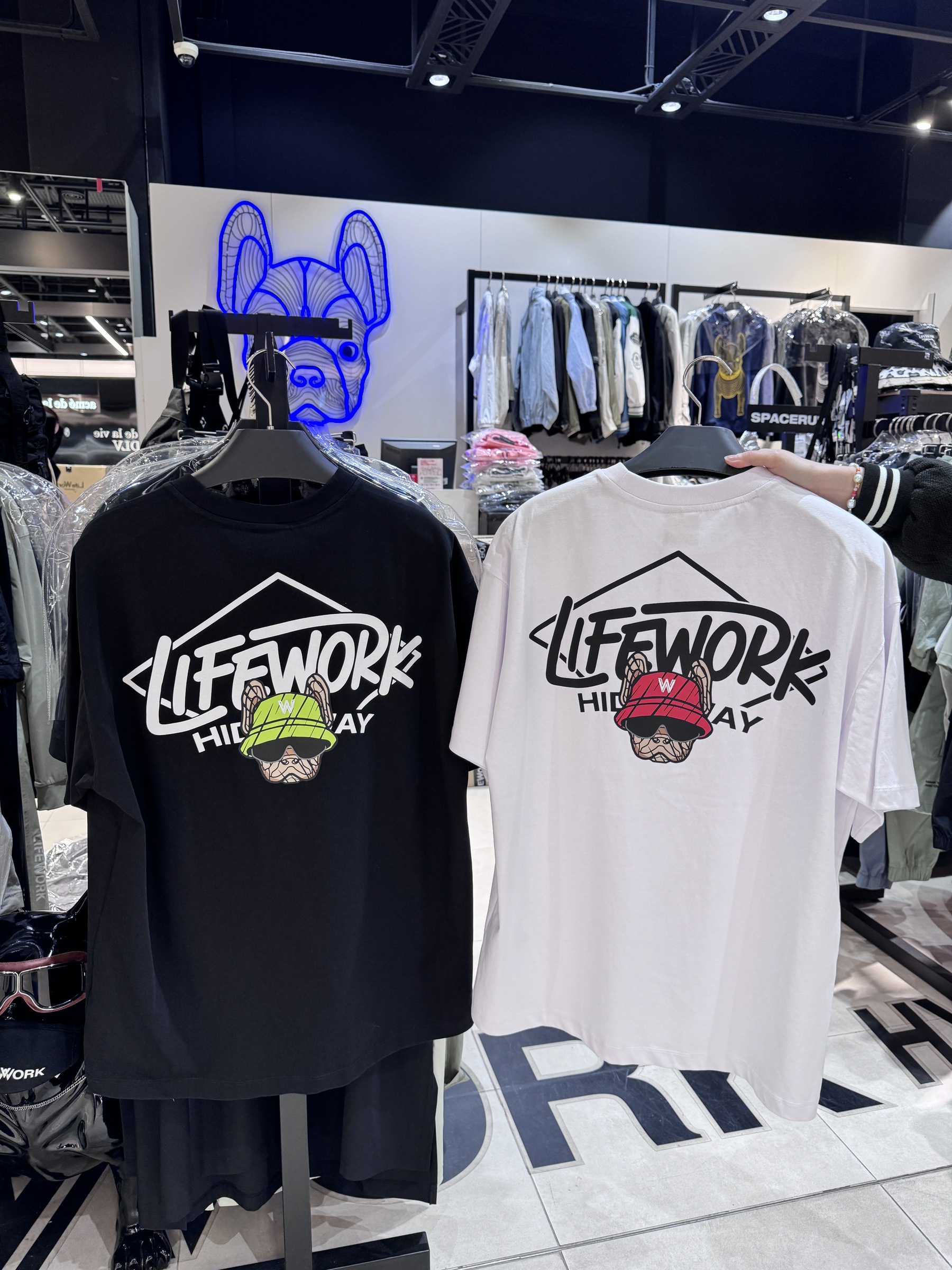 IMG_0964-1712380806532