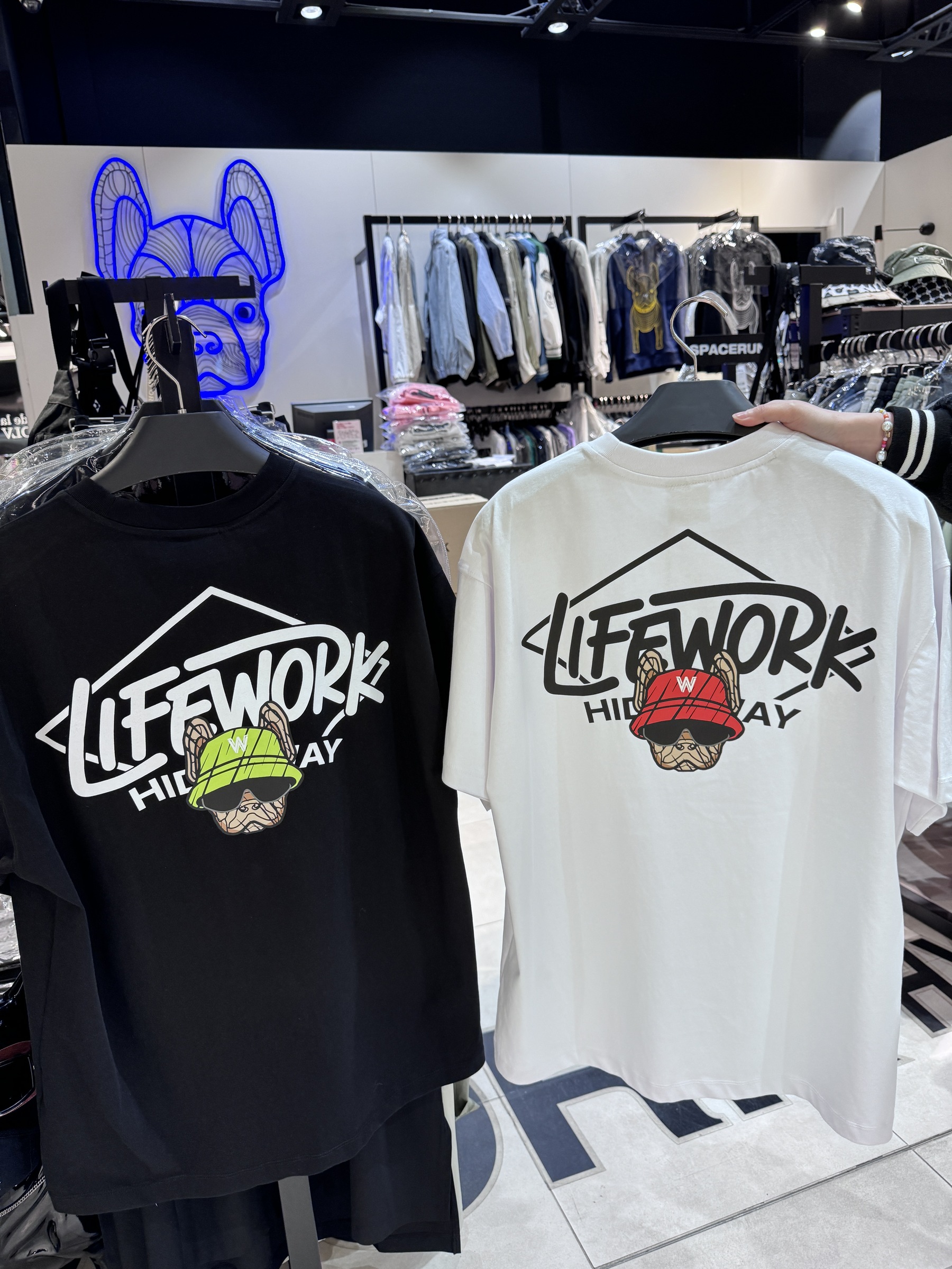 IMG_0965-1712380801974