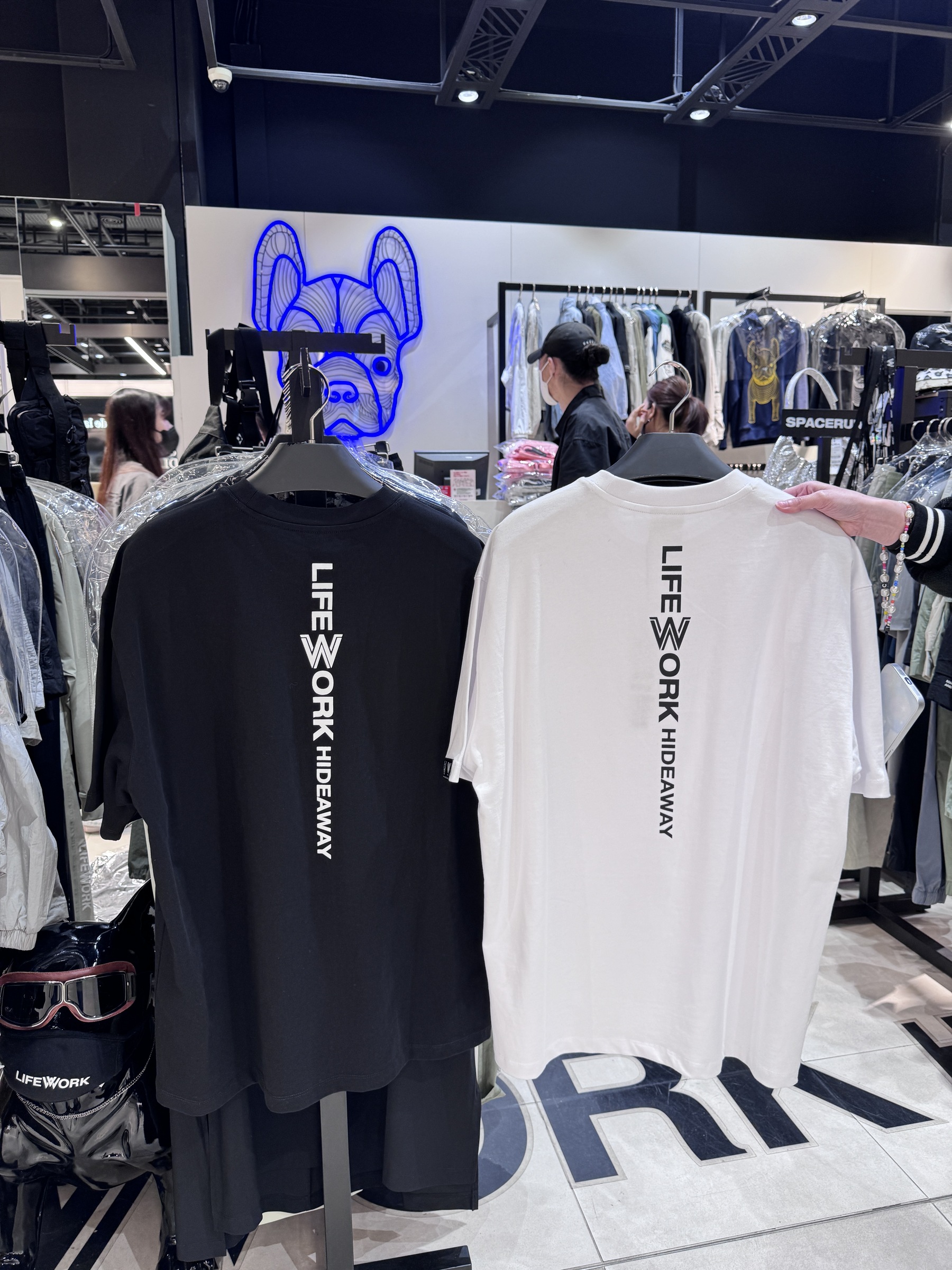 IMG_0990-1712381564644