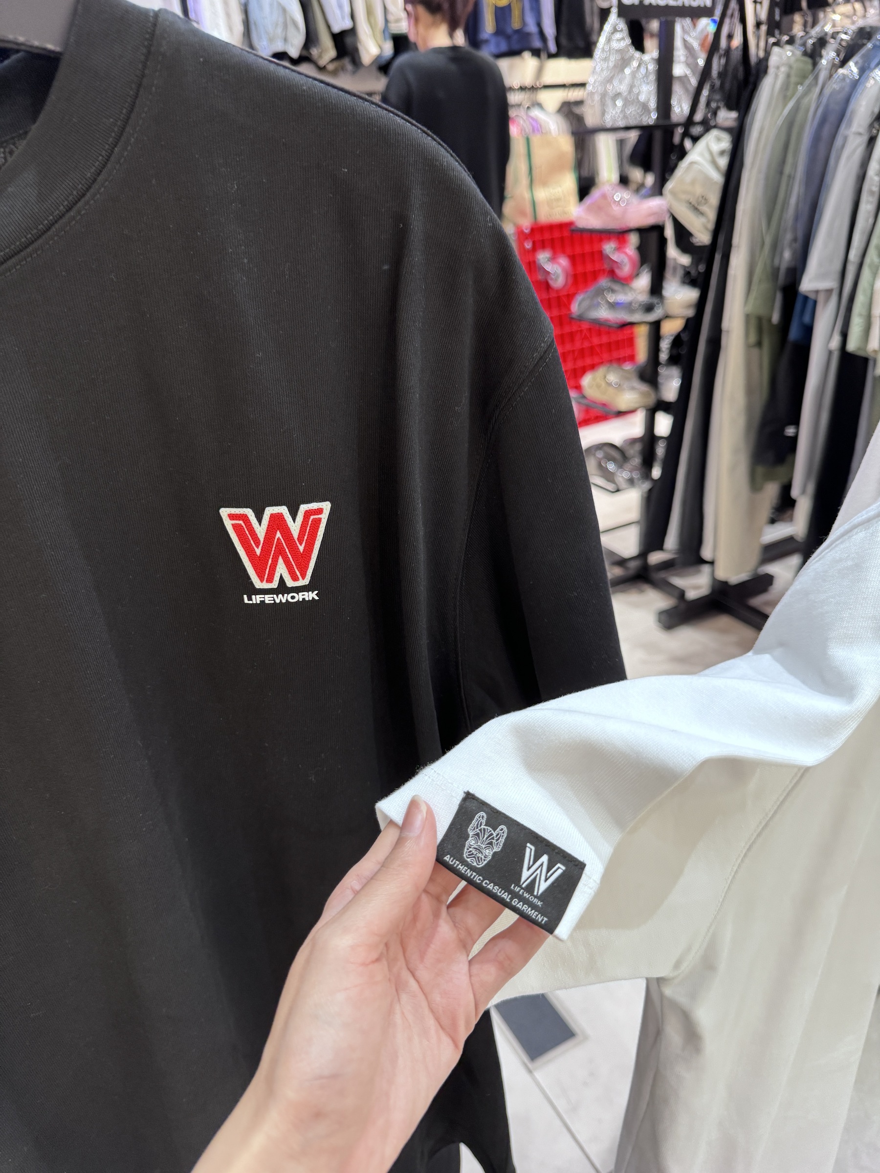 IMG_0988-1712381560643