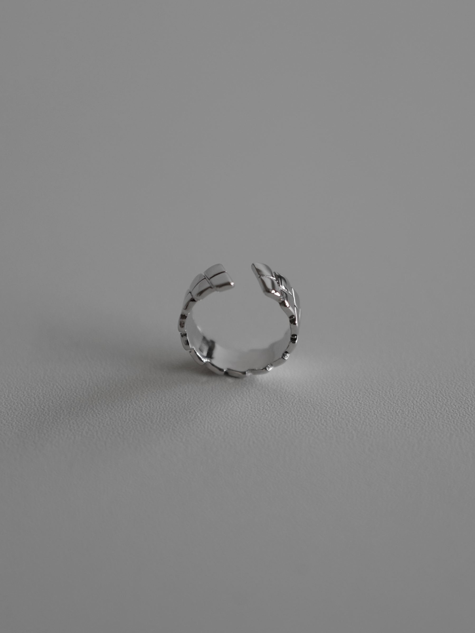 L1030353
