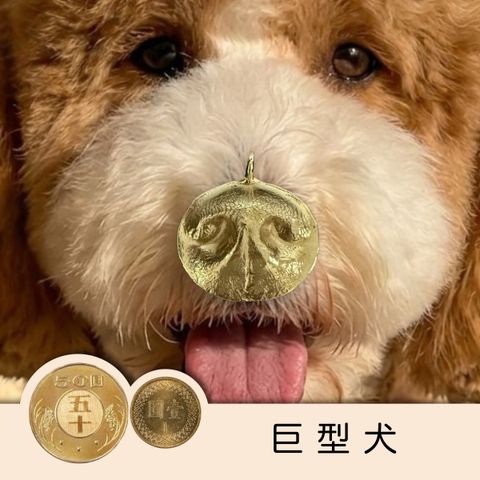 狗鼻紋封面照-01