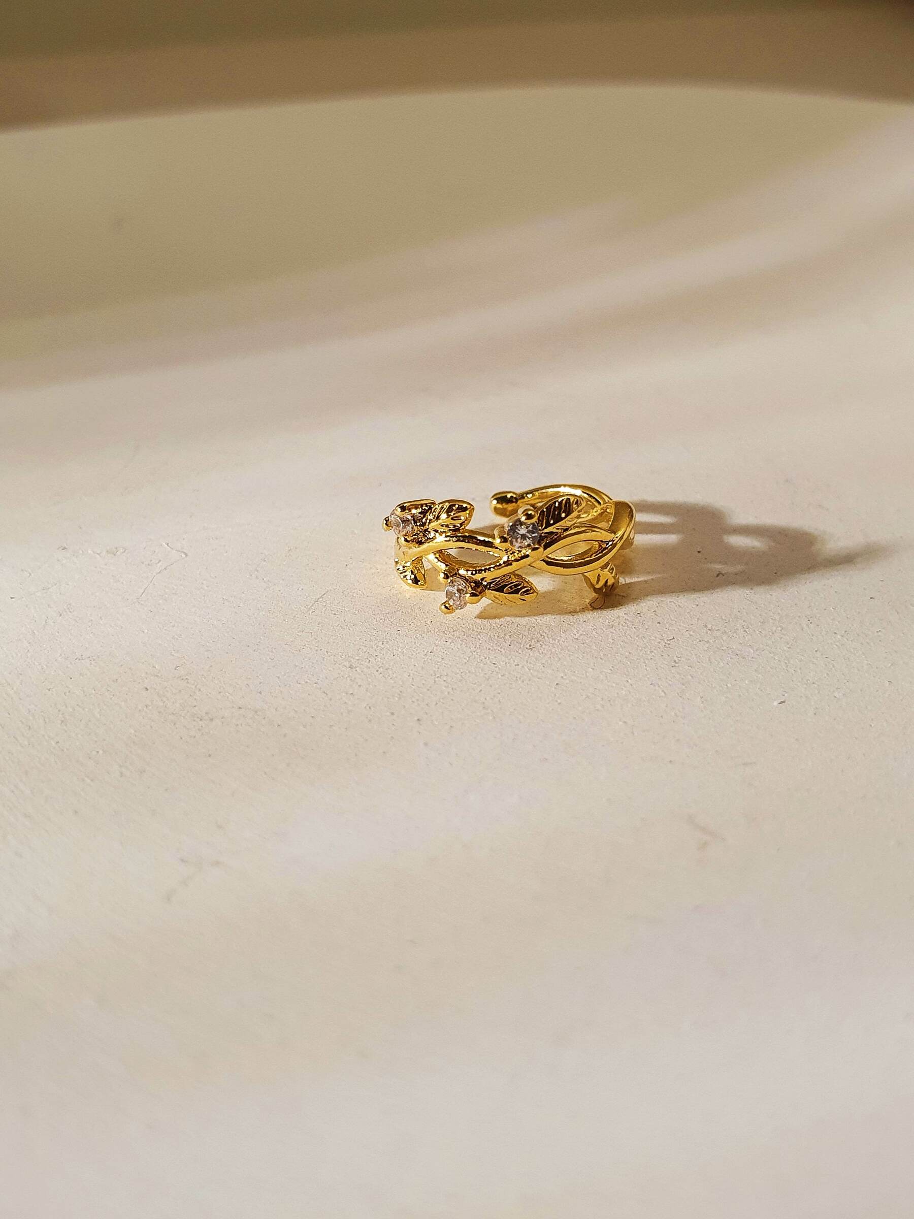 20221019_130021_wGVsWjS61J