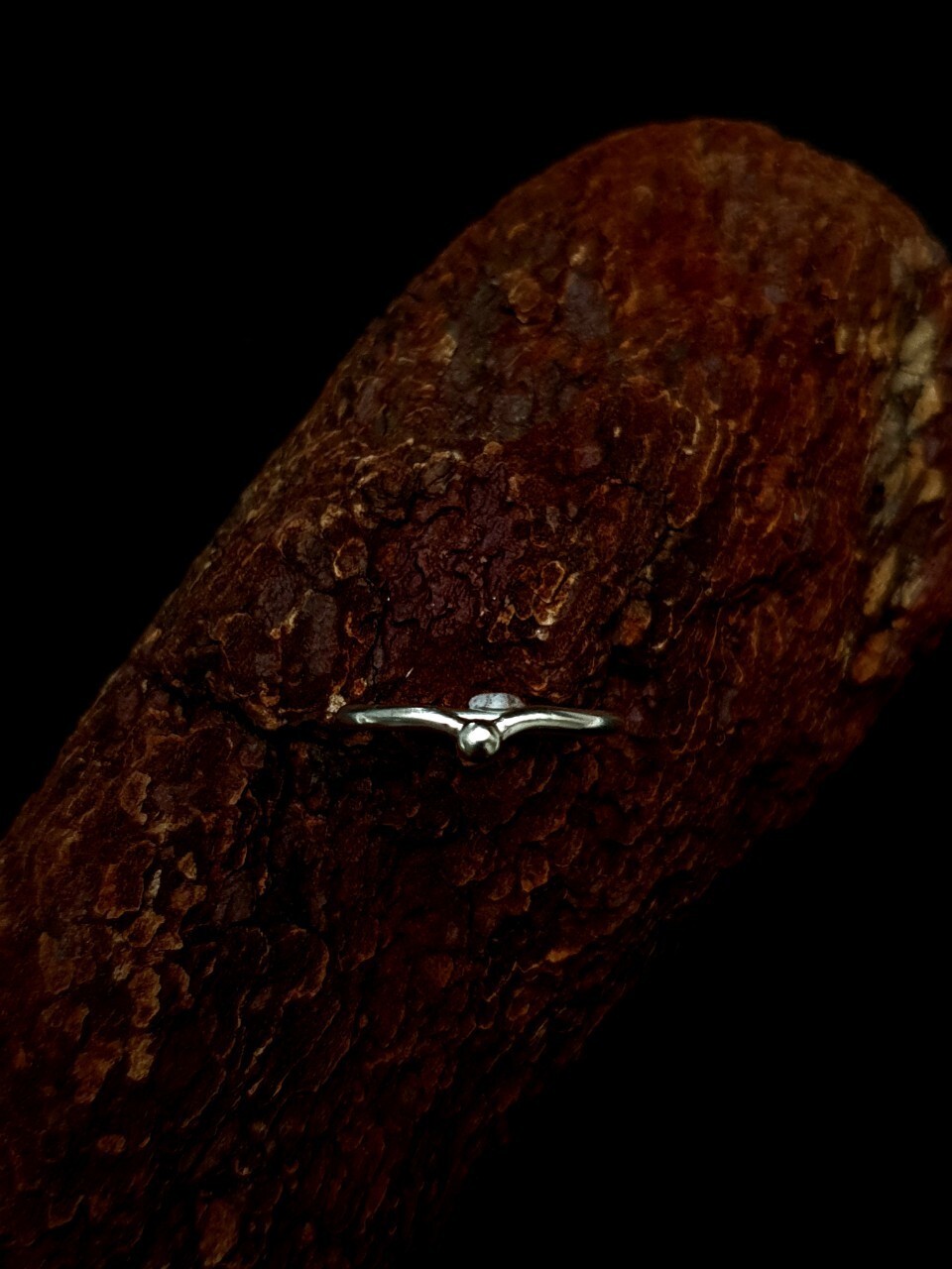 LINE_ALBUM_訂製_241011_4