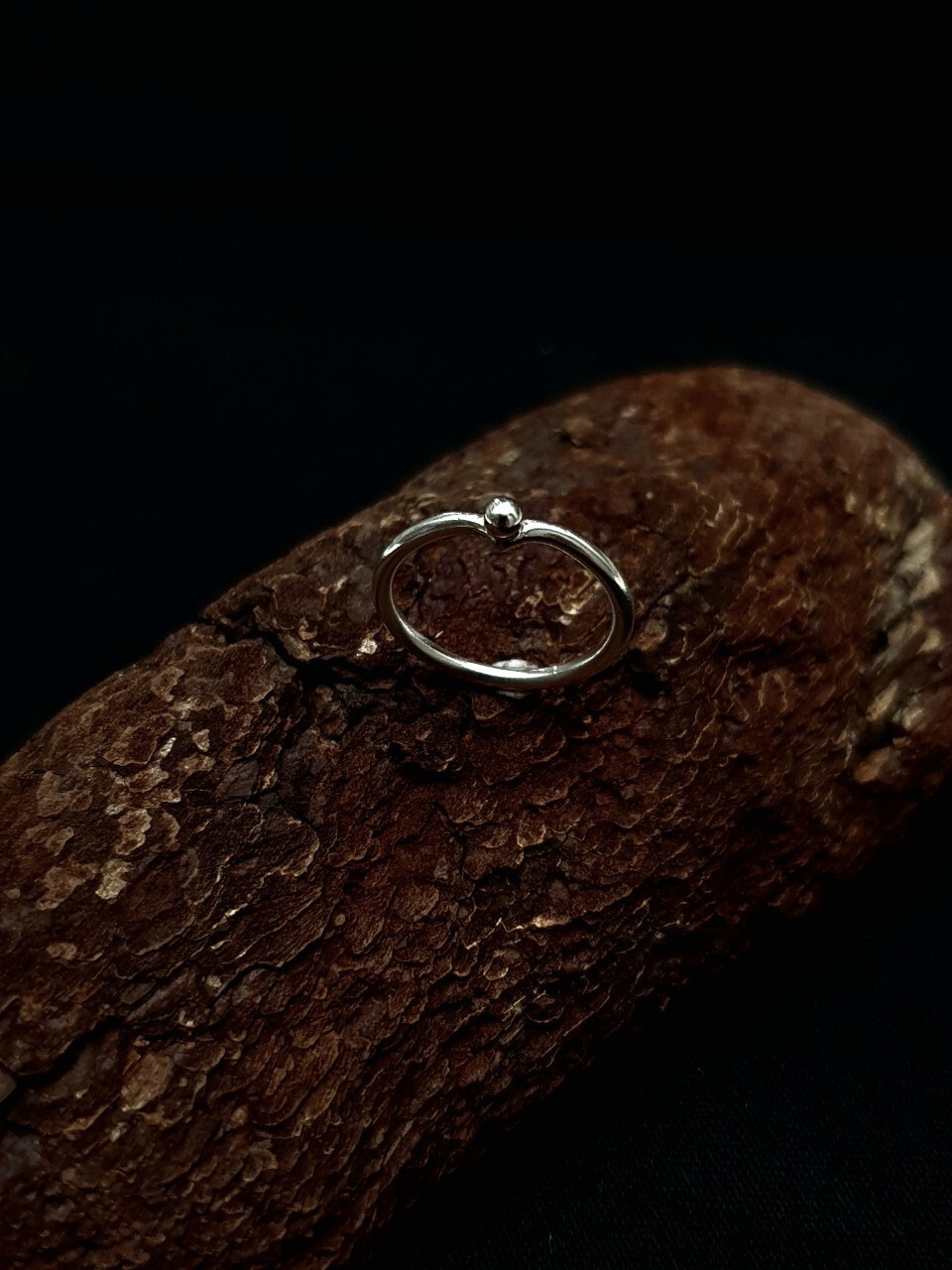 LINE_ALBUM_訂製_241011_5