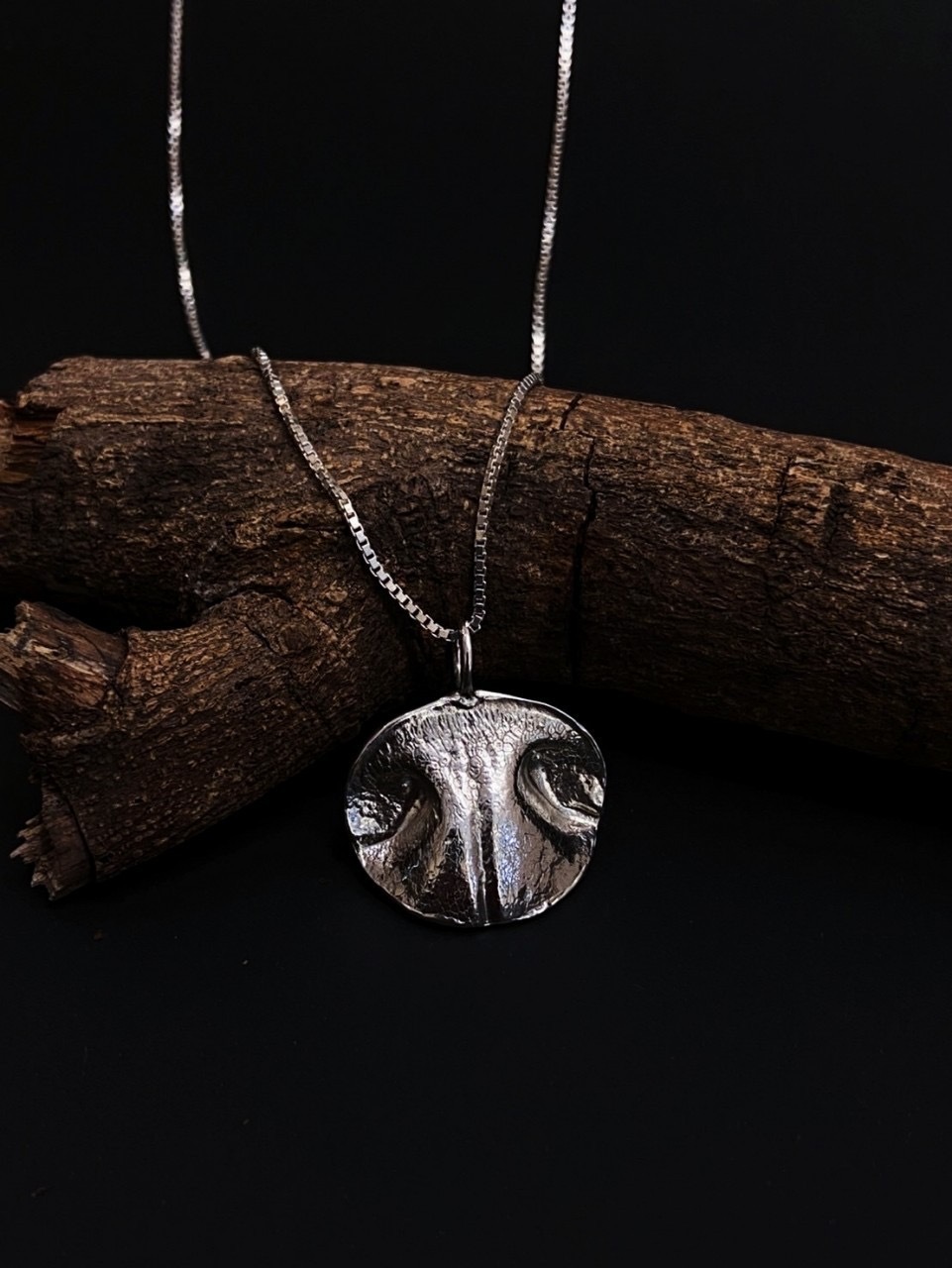 IMG_5844-1735917578335