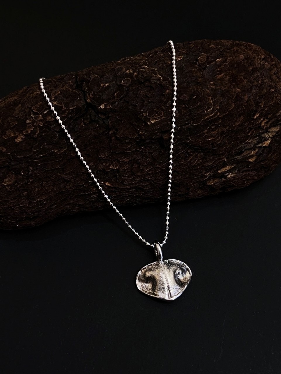 IMG_5842-1735917578337