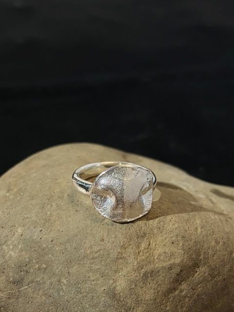 IMG_2487-1736141629469