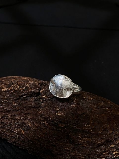 IMG_2490-1736141629472