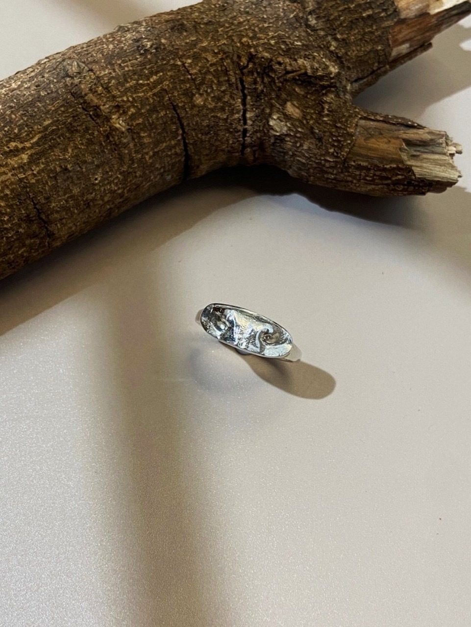 IMG_2497-1736142515309