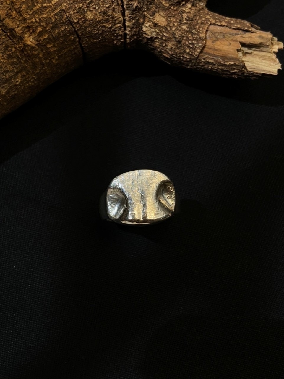 IMG_2500-1736142624155