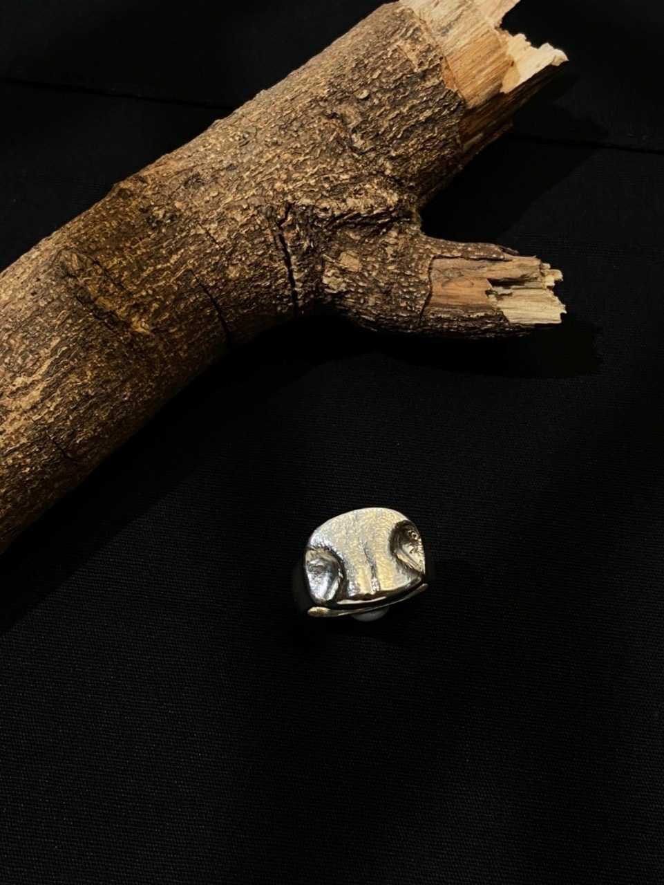 IMG_2499-1736142624157