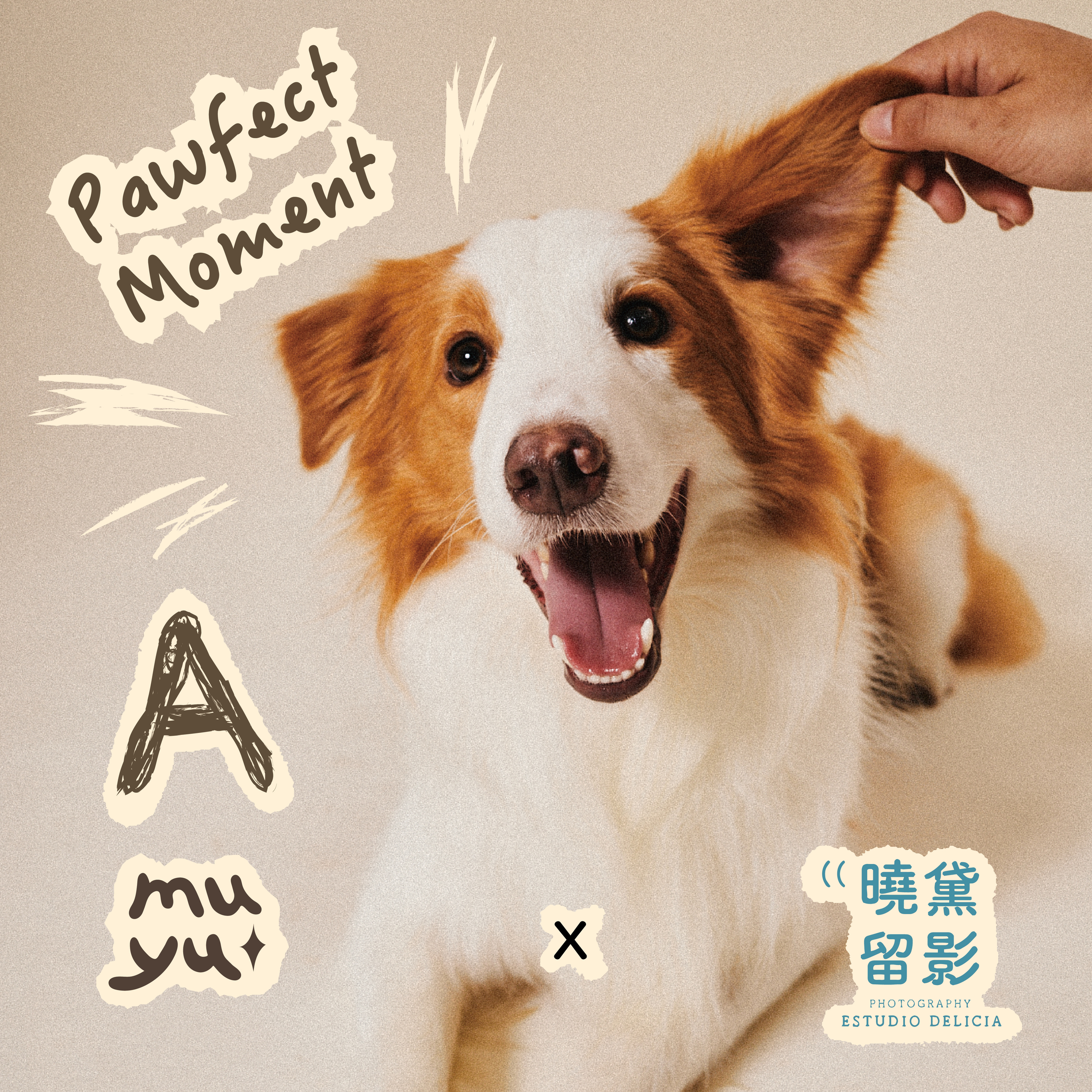 曉黛聯名＿Ａ時刻方案_工作區域 1