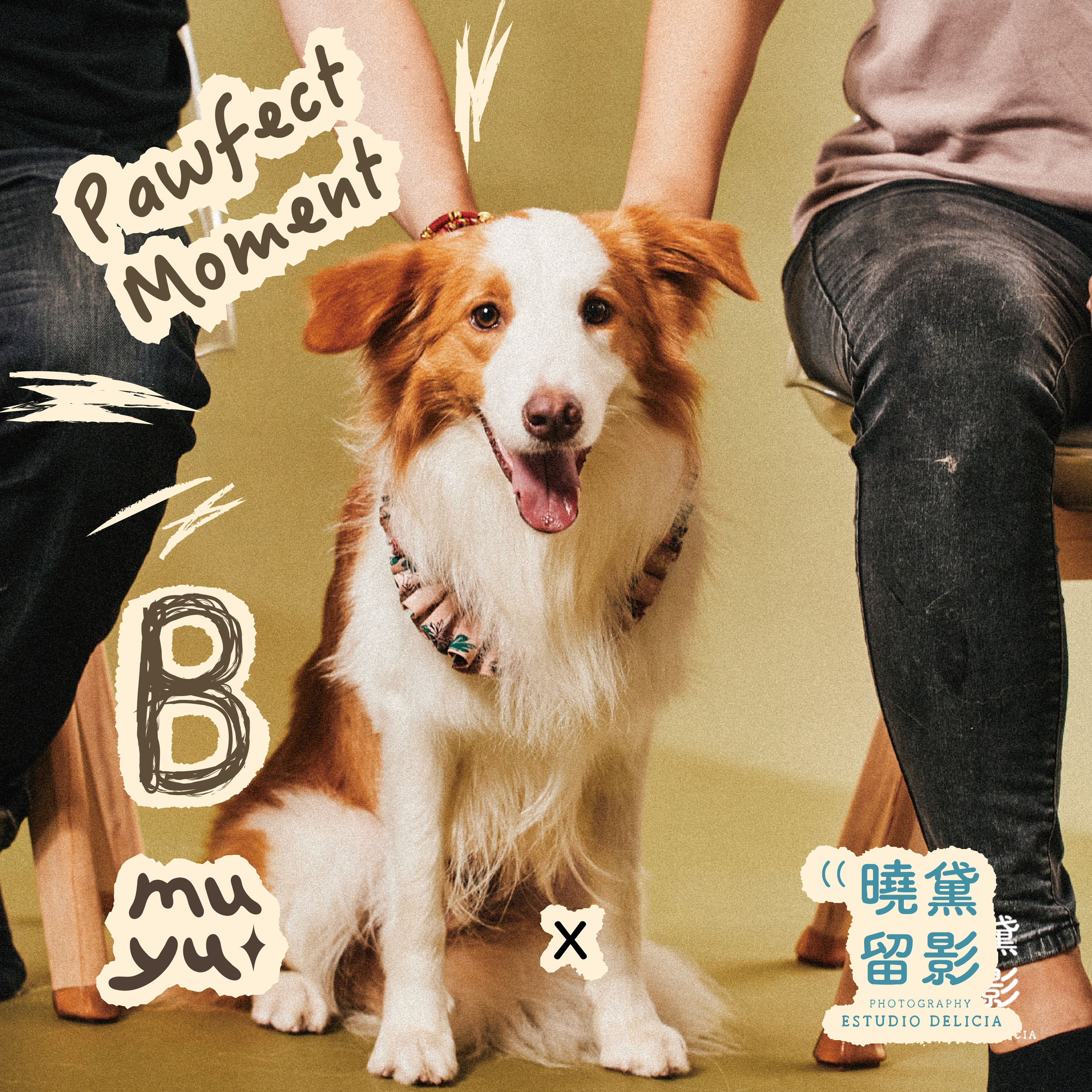 曉黛聯名＿Ａ時刻方案_工作區域 1 複本