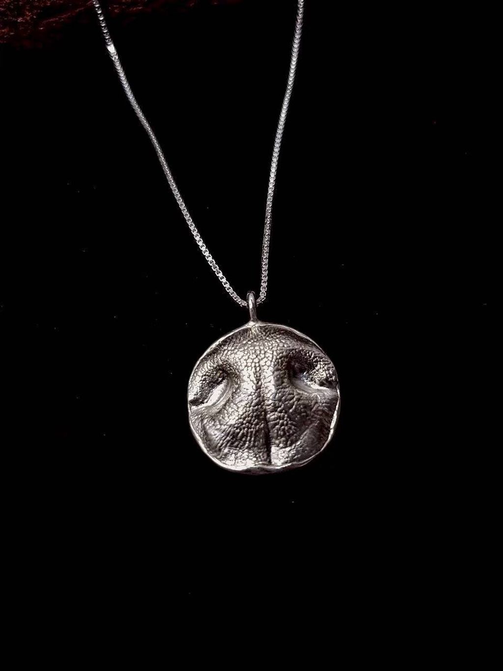 LINE_ALBUM_放汝果官網照片_251022_6