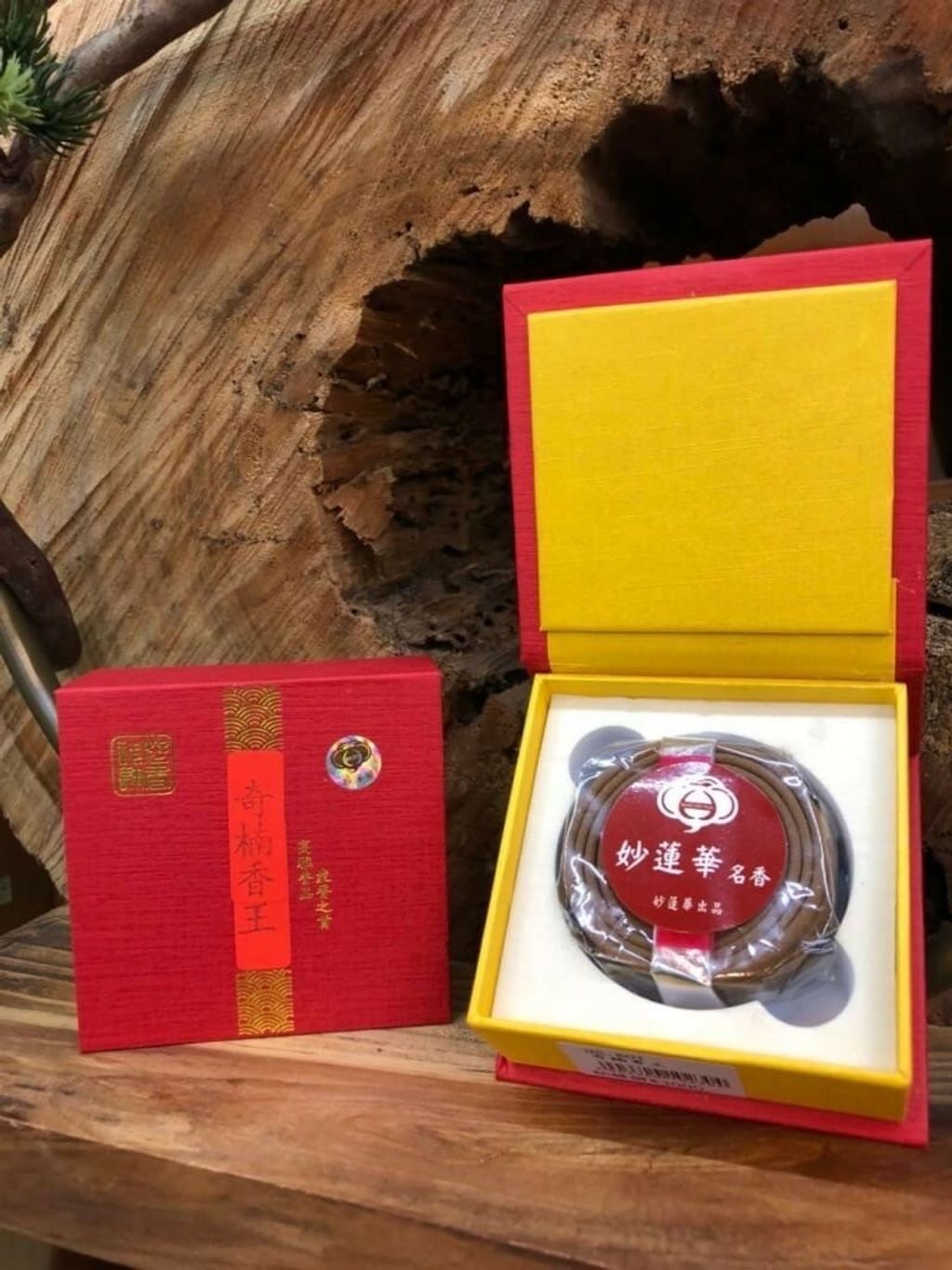 琦楠香王1