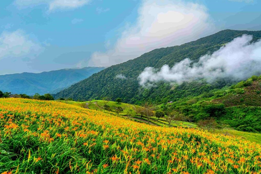 太麻里金針山