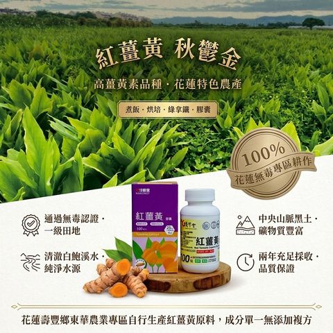 淺草堂 紅薑黃膠囊