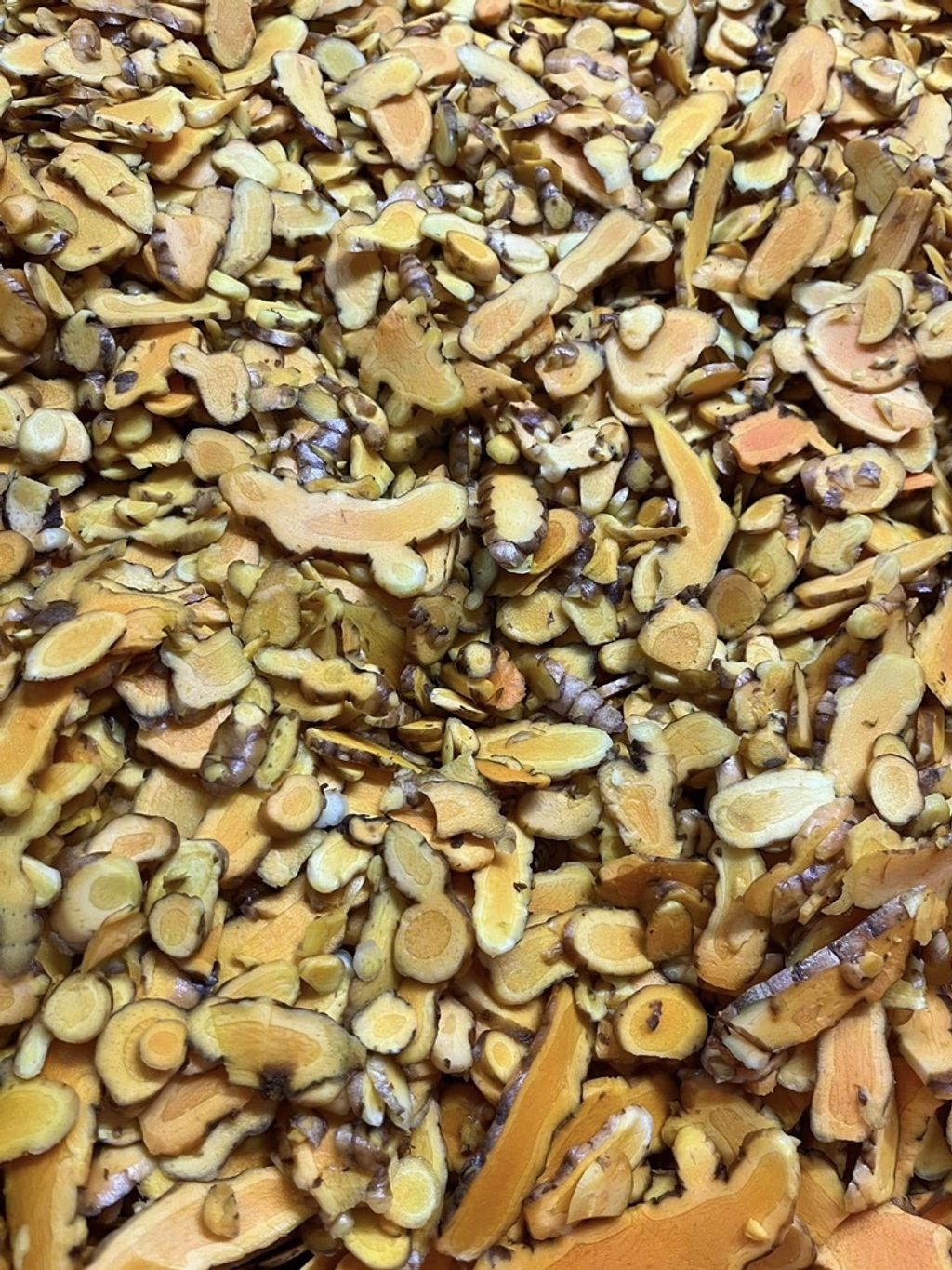 四季農產品-薑黃1