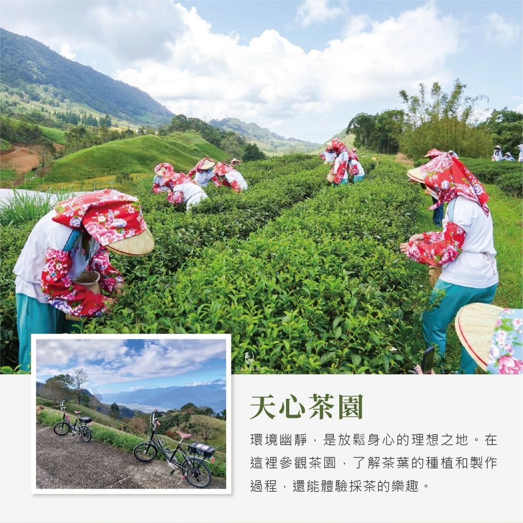 赤科山天心茶莊-2