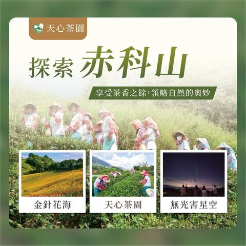 赤科山天心茶莊-1