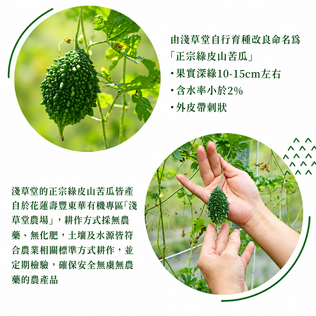 正宗綠皮山苦瓜圖鑑