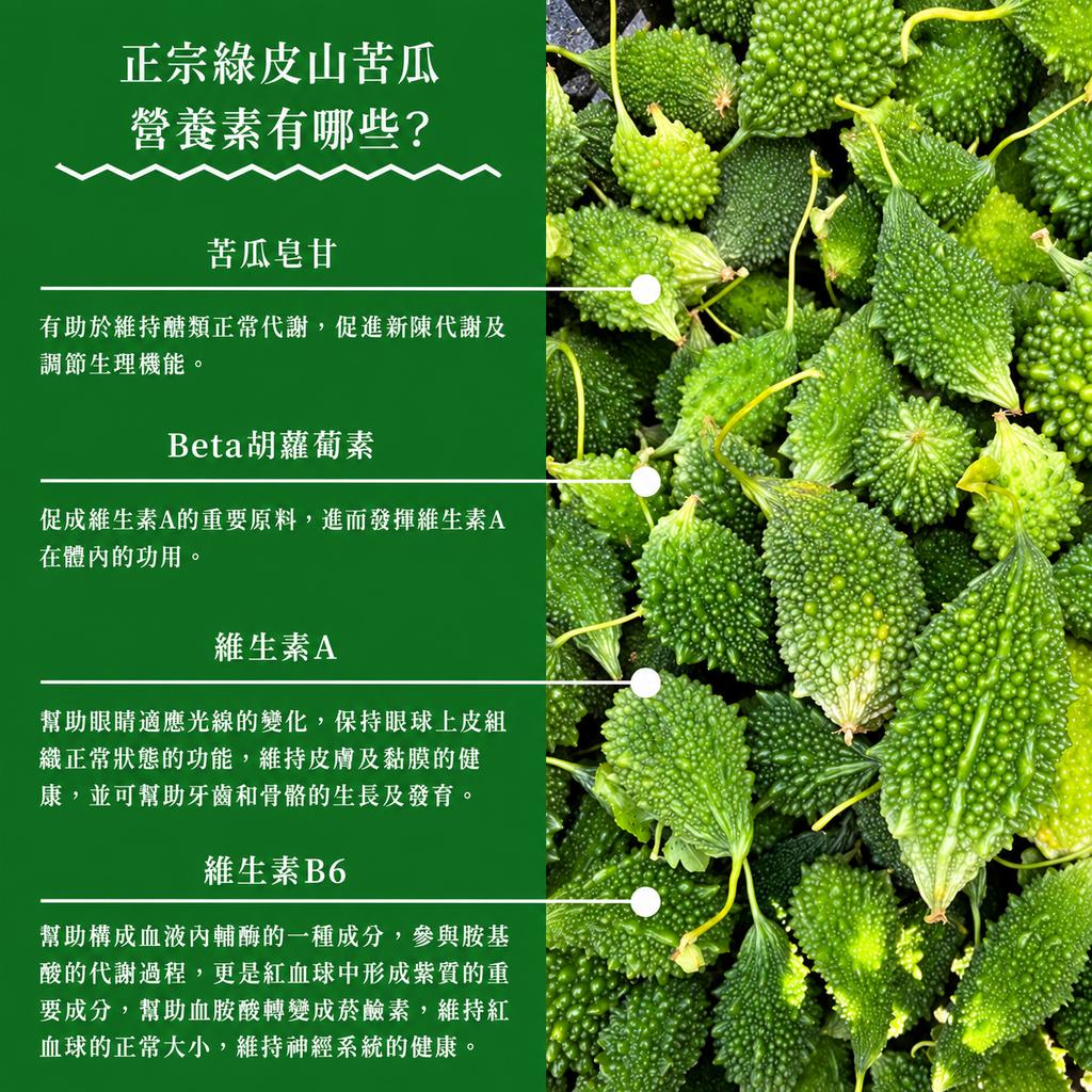 山苦瓜營養圖解