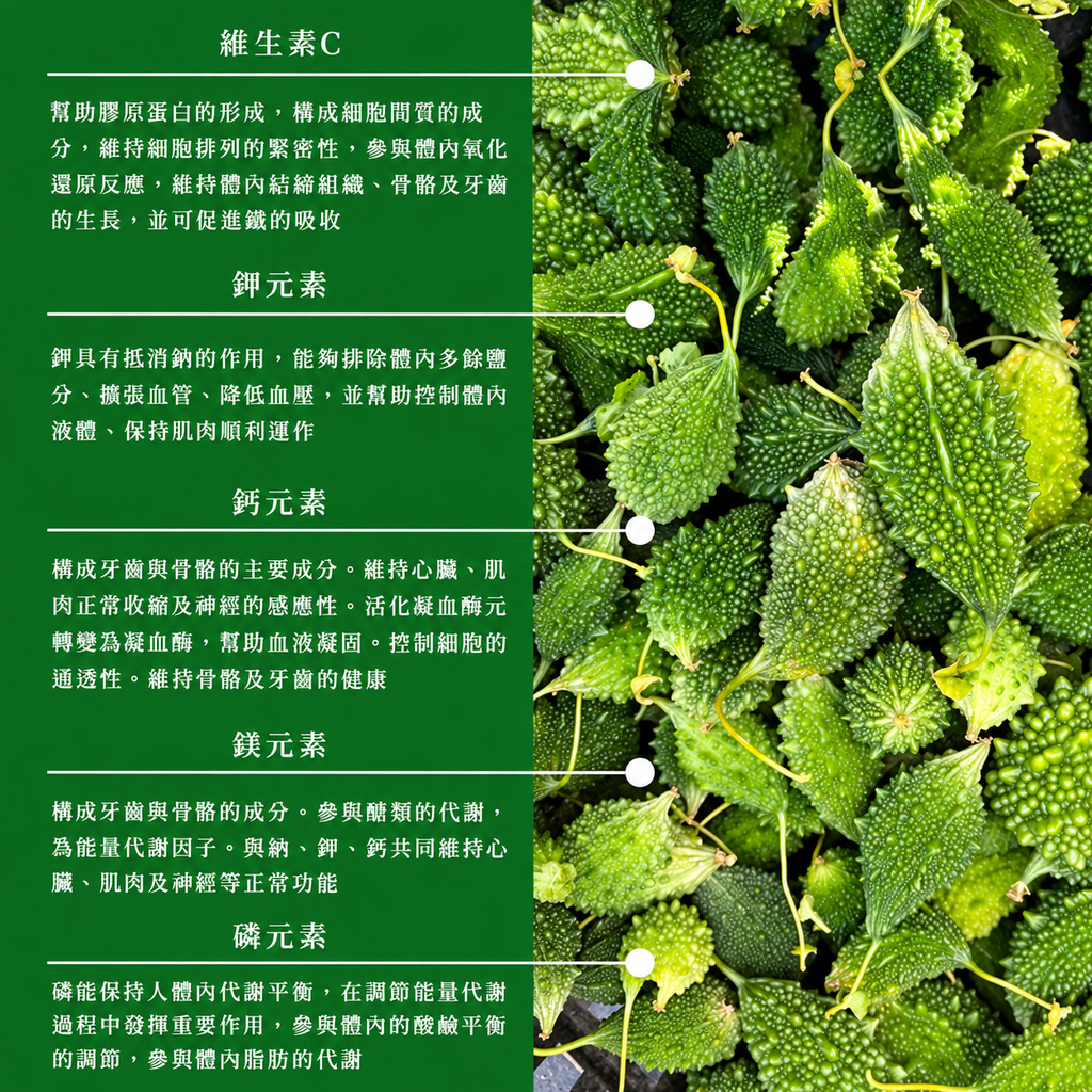 野生苦瓜營養重點