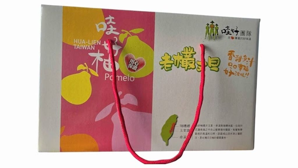 哇好柚子10斤裝